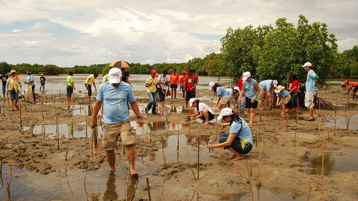 Adaptation Funding For Cities And Regions